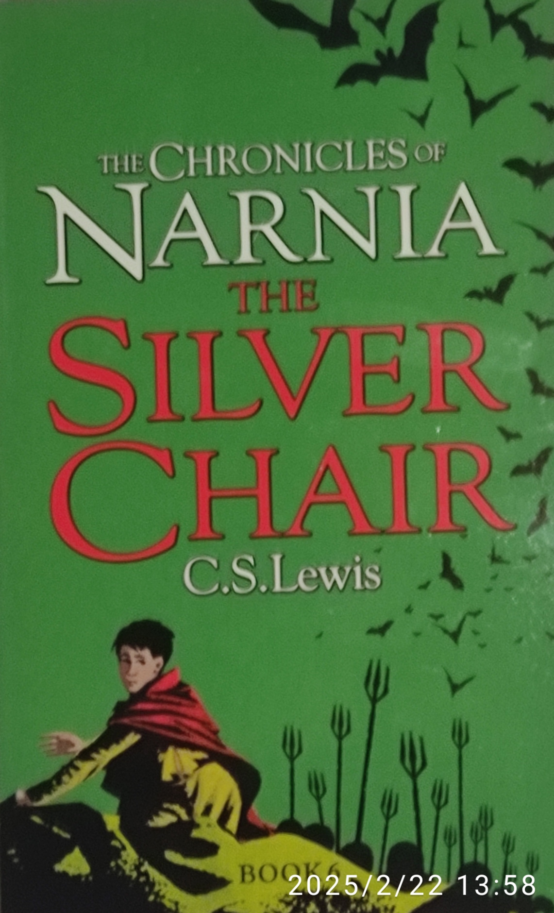 Narnia Book 6