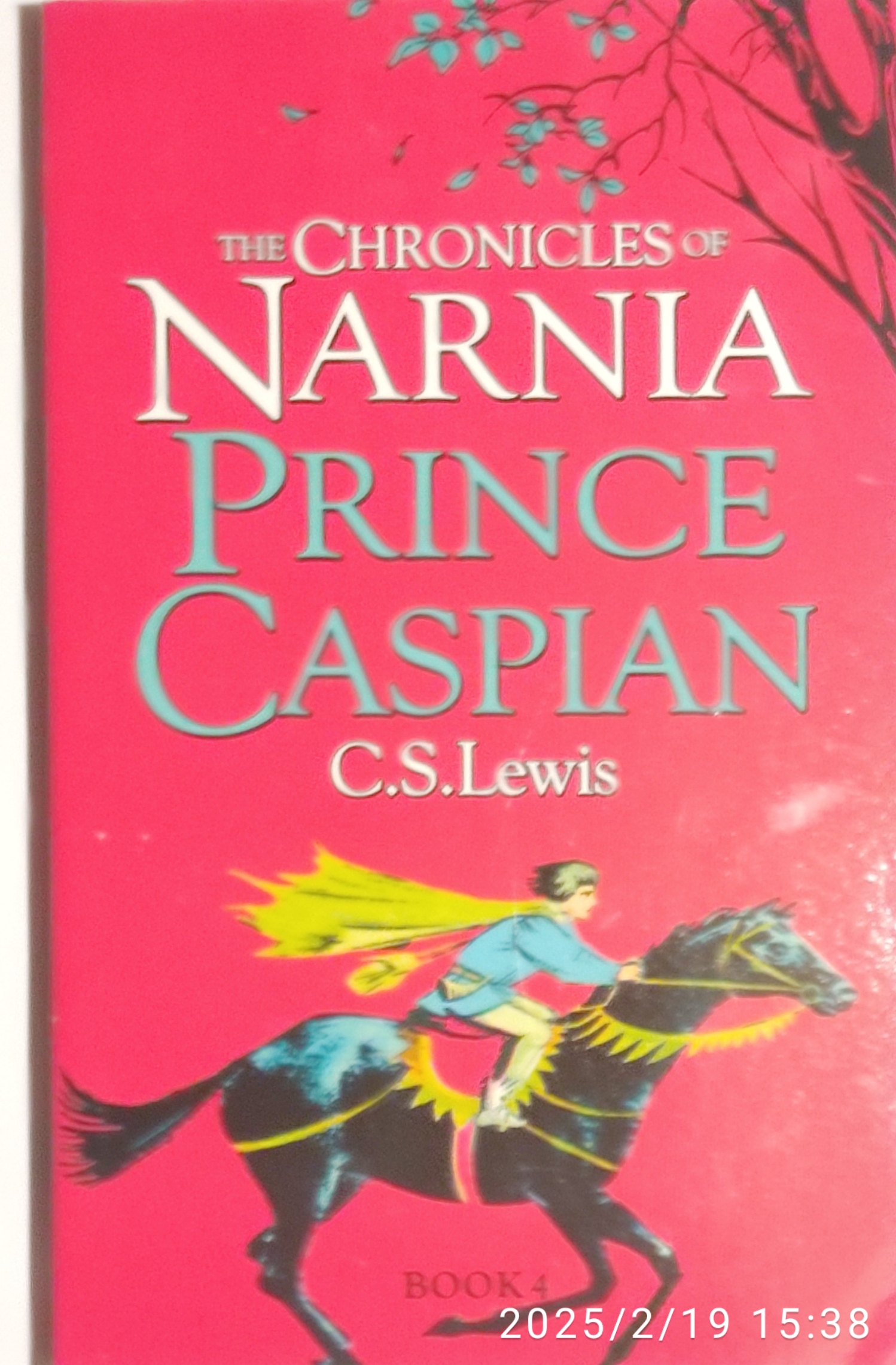 Narnia Book 7