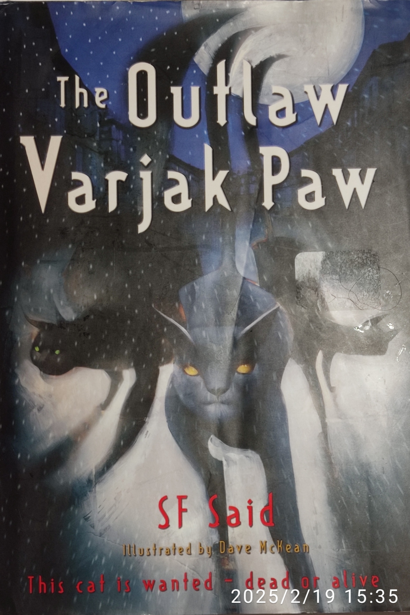 The Outlaw Varjak Paw