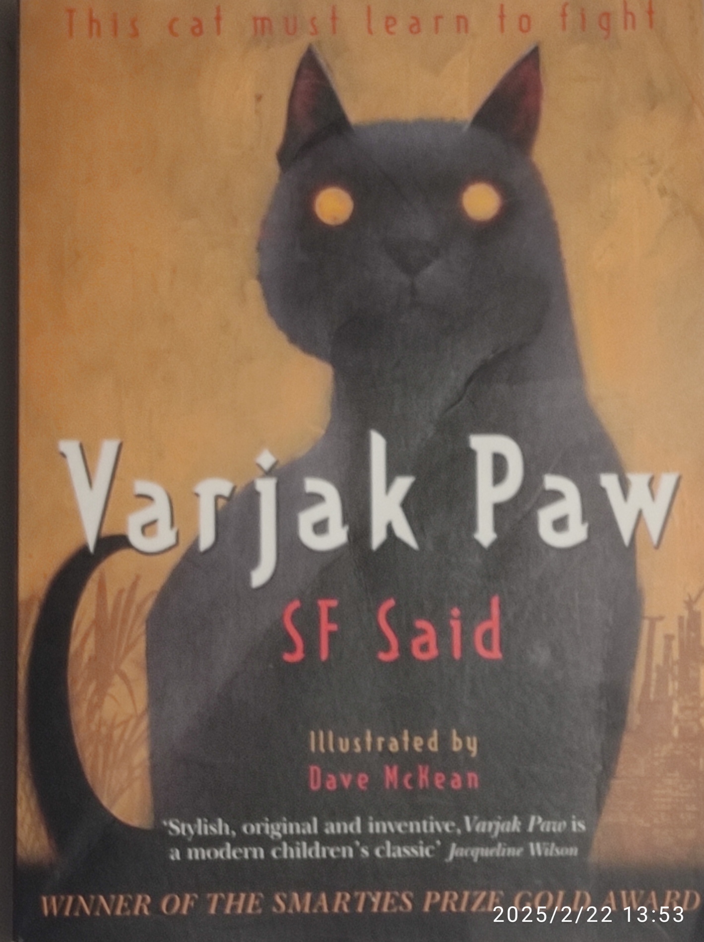 Varjak Paw